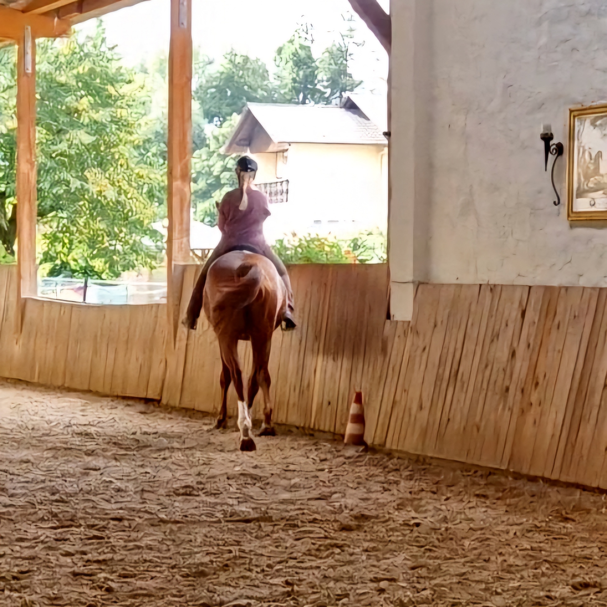 Bewegung vs. Training